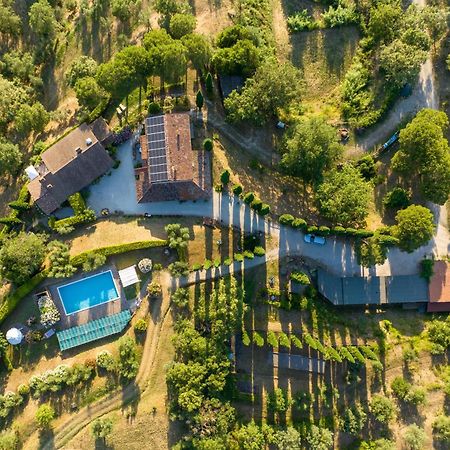Residenza Cerreto-Casalini Daire Panicale Dış mekan fotoğraf